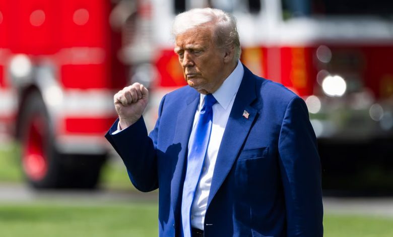 الرئيس الأميركي دونالد ترامب