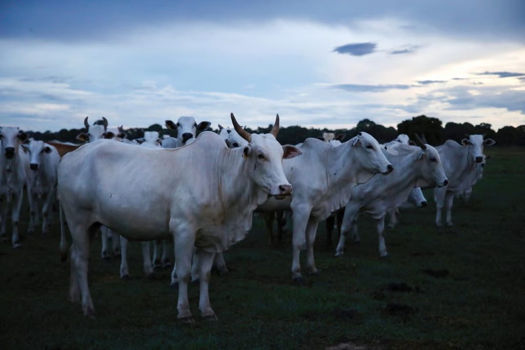 الاتفاقات التجارية مع أوروبا