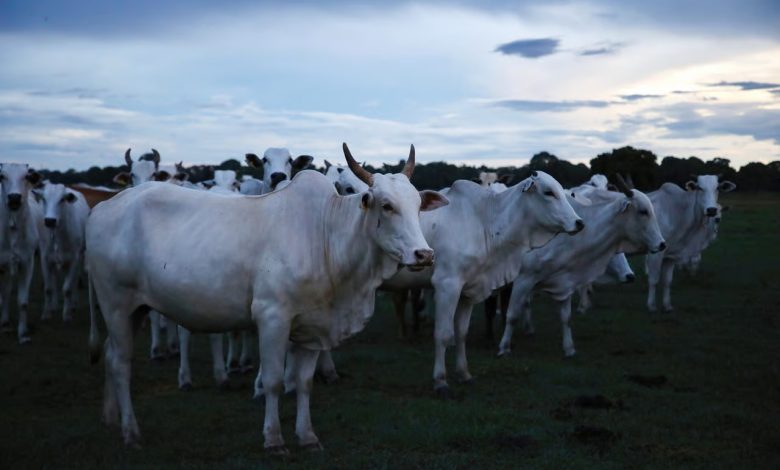 الاتفاقات التجارية مع أوروبا