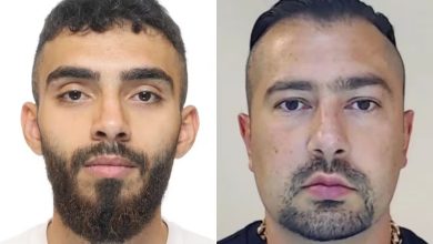 شبكة «فوكستروت» الإجرامية السويدية