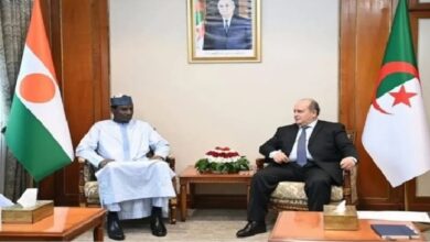 الجزائر والنيجر تعيدان بناء الشراكة عبر مشاريع الطاقة والبنية التحتية
