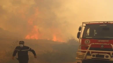 حرائق الجزائر: التستر على الضحايا وتهميش الاستعدادات