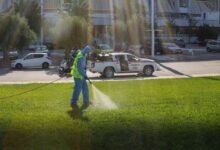 أوروبا تسجل رقماً قياسياً في إصابات فيروس غرب النيل